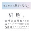 画像3: リンカエステ クリスタルミスト エクソセラム 30ml  (3)